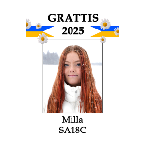 Studentskylt nr14