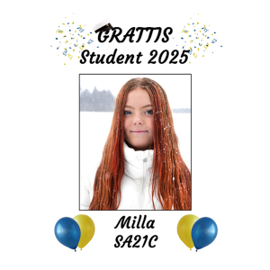 Studentskylt nr15