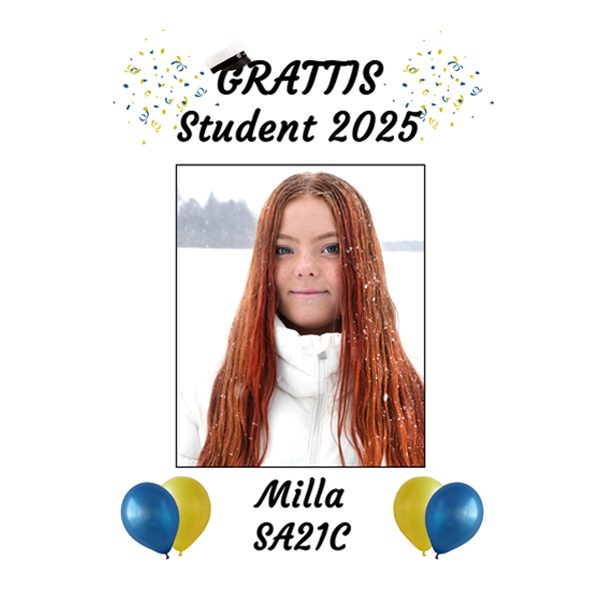 Studentskylt nr15