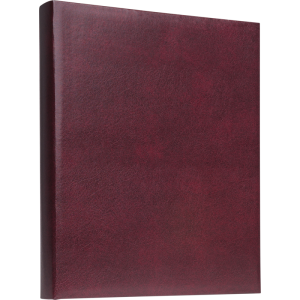 Focus Exclusive Line Ringbinder Red