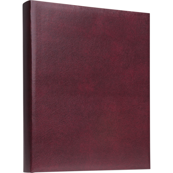 Focus Exclusive Line Ringbinder Red
