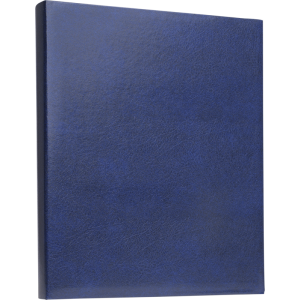 Focus Exclusive Line Ringbinder Blue