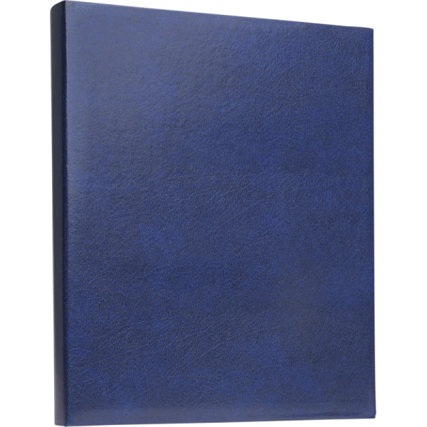 Focus Exclusive Line Ringbinder Blue