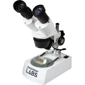 Celestron