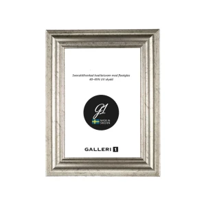Ram Galleri1 14B 20X30 Silver