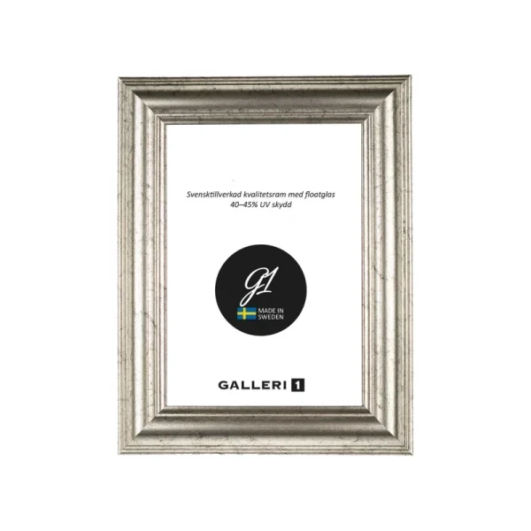 Ram Galleri1 14B 20X30 Silver