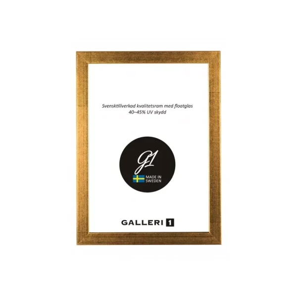 Ram Galleri1 20X30 Guld