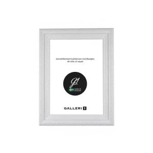Ram Galleri1 24X30 Ps288B Vit