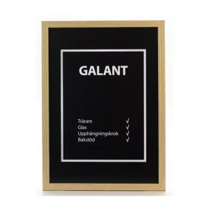 Ram Galant Ek 40X60