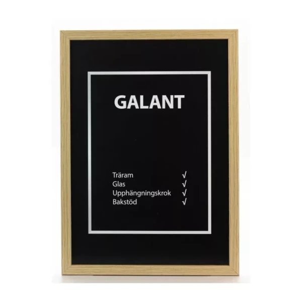 Ram Galant Ek 40X60