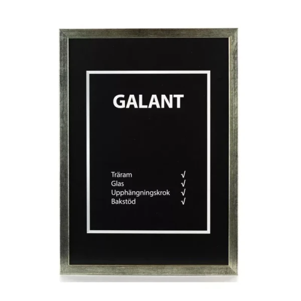Ram Galant Silver 40X60