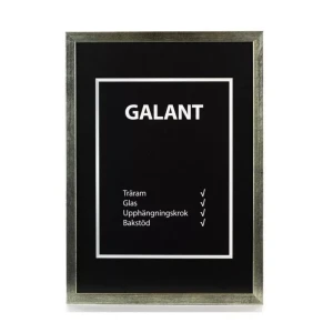 Ram Galant 10X15 Silver