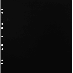 Focus Carton Refillsheets for Ringbinder Gigant Black 10-pack