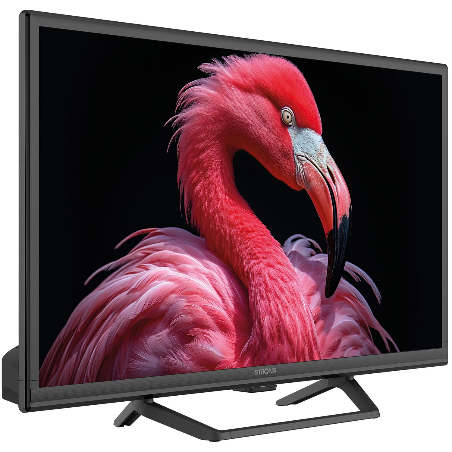Strong TV 24" HD LED 230/12Volt Google TV - Bild 2